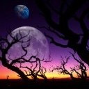 Аватара пользователя