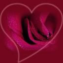 Аватара пользователя